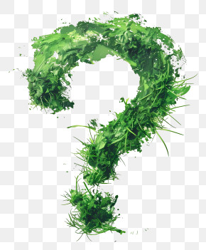 Question Mark - Green Grass Question Mark Illustration PNG