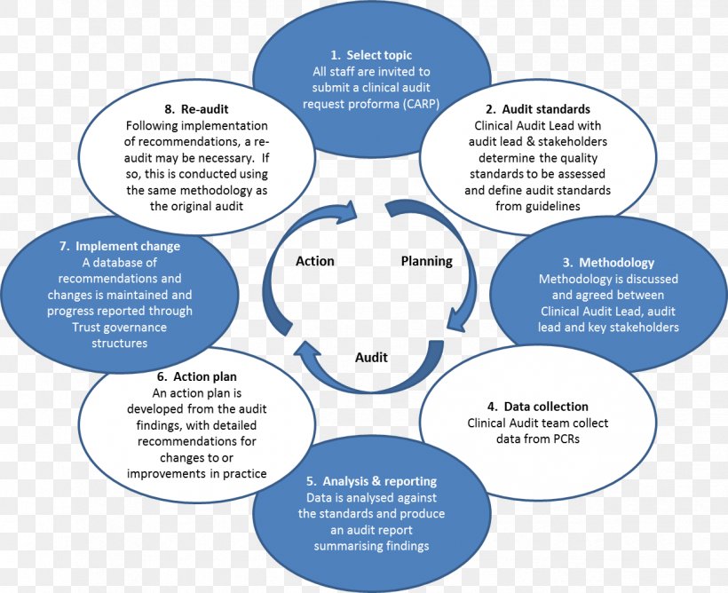 Rethinking Clinical Audit: The Case Of Psychotherapy Services In The NHS Healthcare Quality Improvement Partnership Health Care, PNG, 1238x1009px, Clinical Audit, Appreciative Inquiry, Area, Audit, Auditor Download Free