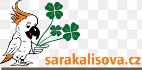 Sara - Spinal Muscular Atrophy Muscle Atrophy Spinal Muscular Atrophies PNG