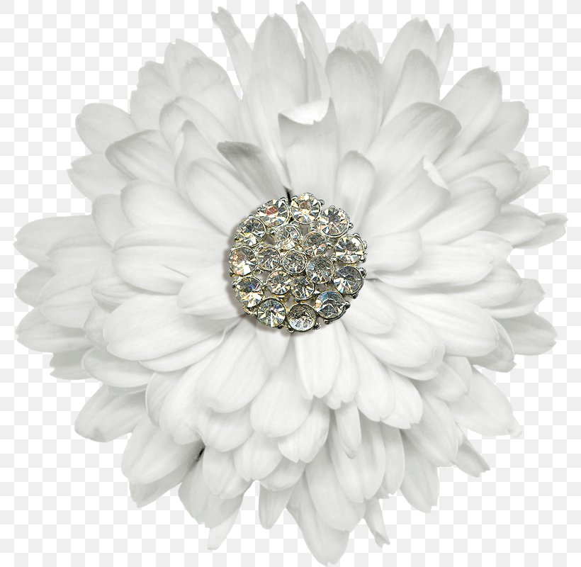 Transvaal Daisy Jewellery, PNG, 784x800px, Transvaal Daisy, Flower, Flowering Plant, Gerbera, Jewellery Download Free
