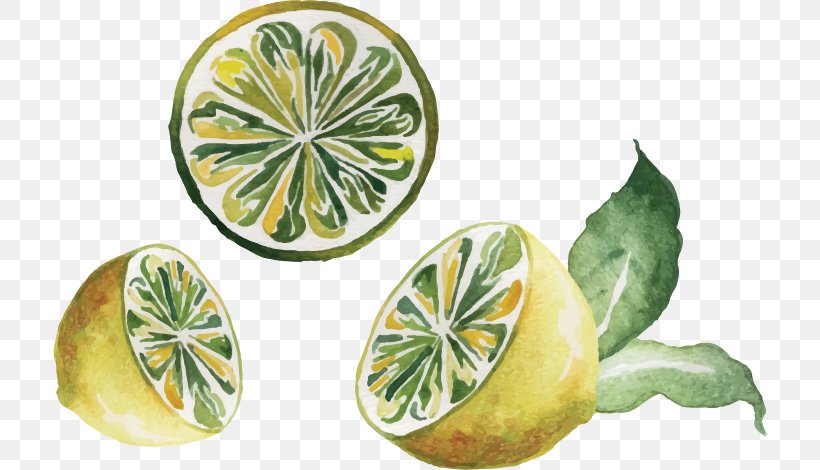 Watercolor Painting Drawing Lemon, PNG, 714x470px, Watercolor Painting, Art, Ceramic, Citrus, Color Download Free