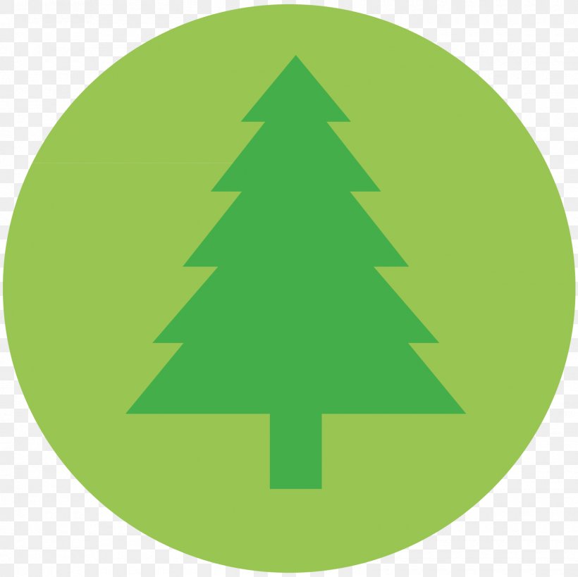 Tree Icon Conservation Icon, PNG, 1600x1600px, Wall Decal, Area, Christmas Tree, Grass, Green Download Free