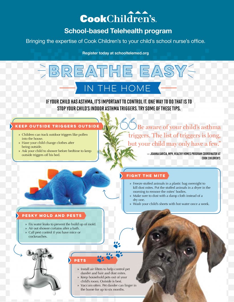 Dog Breed Indoor Air Quality Asthma UK Boxer, PNG, 2550x3300px, Dog Breed, Advertising, Asthma, Asthma Uk, Boxer Download Free
