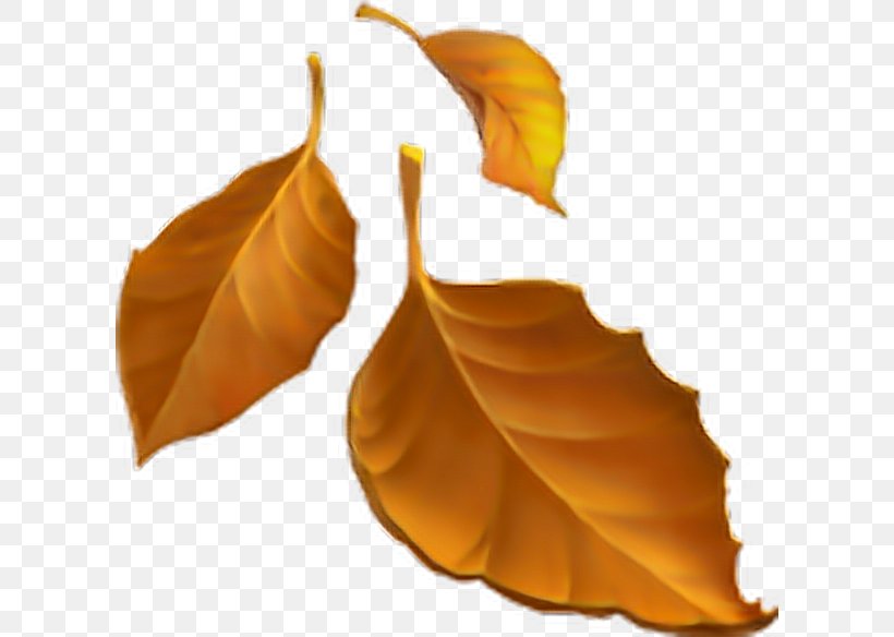 Emojipedia Autumn Leaf Color Autumn Leaf Color, PNG, 608x584px, Emoji, Autumn, Autumn Leaf Color, Emoji Movie, Emojipedia Download Free