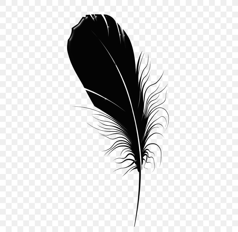Feather Chemical Element Quill Leaf Blog, PNG, 400x800px, Feather, Black, Black And White, Black M, Blog Download Free