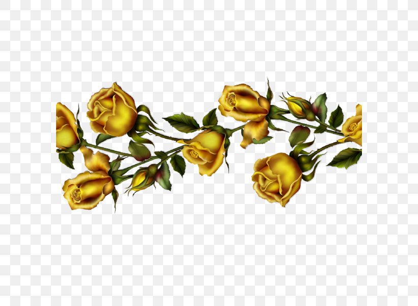 Garden Roses Flower Beach Rose Image Gold, PNG, 600x600px, Garden Roses, Beach Rose, Branch, Bud, Cut Flowers Download Free
