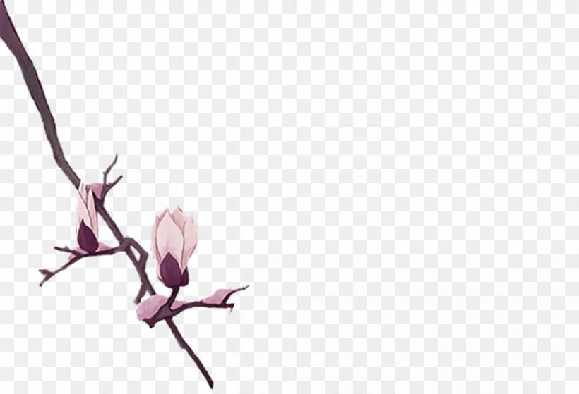Petal Magnolia Denudata Flower Watercolor Painting, PNG, 1172x800px, Petal, Branch, Designer, Flower, Google Images Download Free