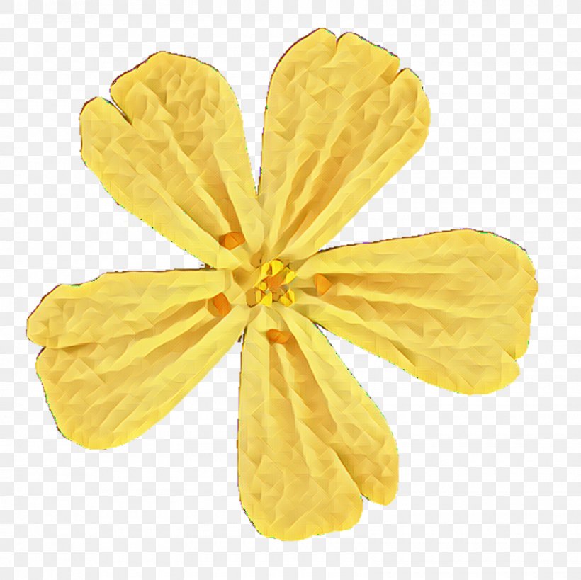 Petal, PNG, 1600x1600px, Petal, Flower, Yellow Download Free