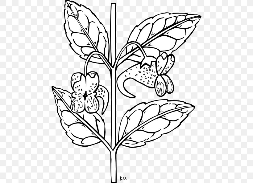 Plant Black And White Clip Art, PNG, 486x594px, Plant, Area, Art, Black And White, Branch Download Free