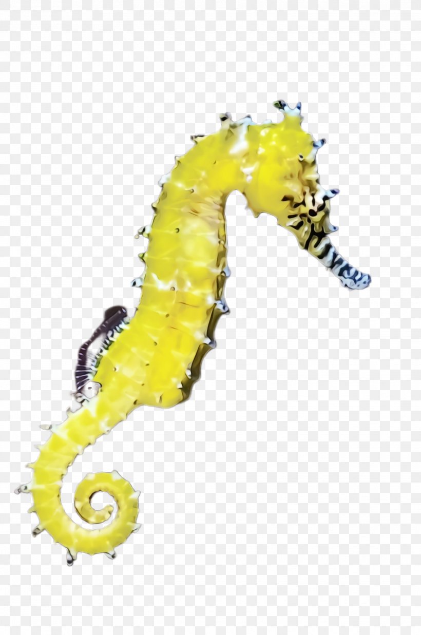 Seahorse Northern Seahorse Yellow Animal Figure, PNG, 1628x2456px, Watercolor, Animal Figure, Northern Seahorse, Paint, Seahorse Download Free