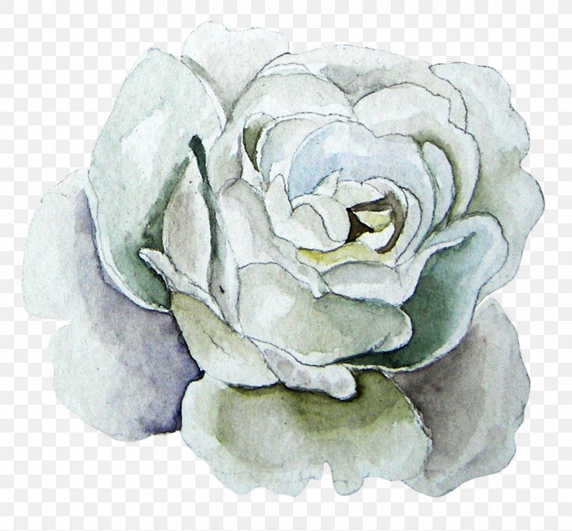 Watercolor Painting Garden Roses Beach Rose, PNG, 1064x988px, Watercolor Painting, Beach Rose, Cut Flowers, Drawing, Flower Download Free