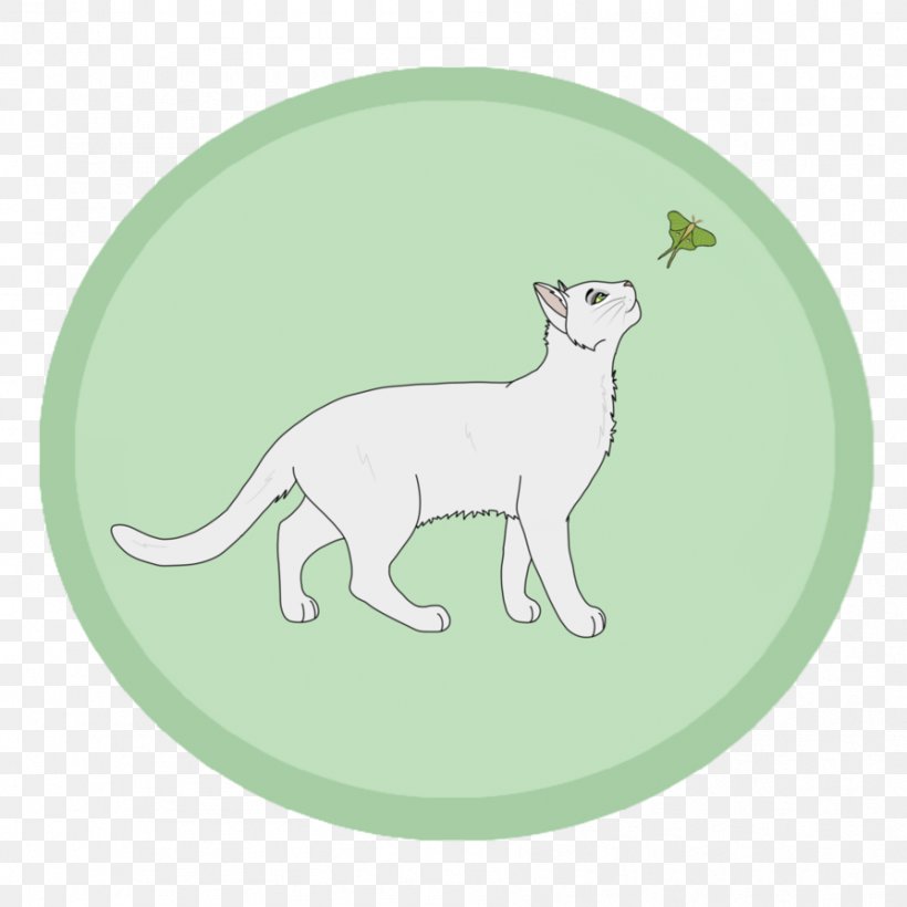 Whiskers Cat Dog Green Mammal, PNG, 894x894px, Whiskers, Animated Cartoon, Canidae, Carnivoran, Cat Download Free