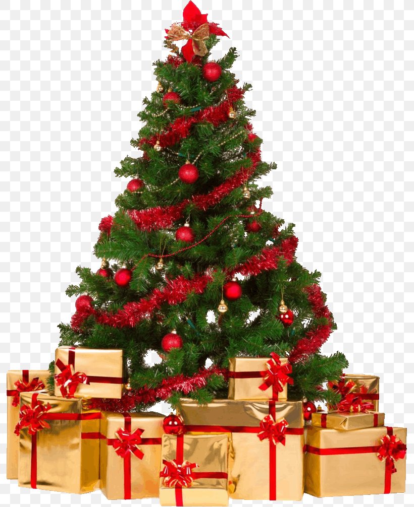 Christmas Tree Christmas Ornament Clip Art, PNG, 795x1006px, Christmas Tree, Artificial Christmas Tree, Christmas, Christmas Decoration, Christmas Ornament Download Free