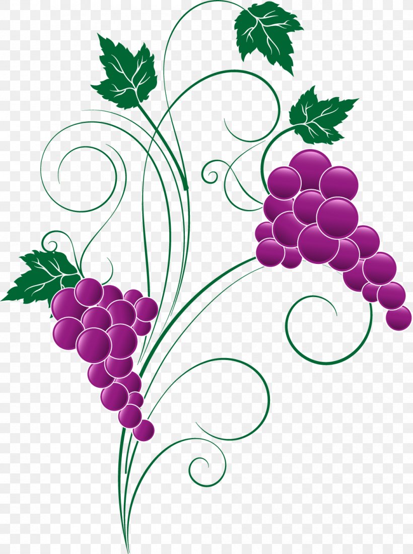 Grapevines Food Grape Leaves, PNG, 1057x1419px, Grape, Berry, Floral Design, Flower, Flowering Plant Download Free