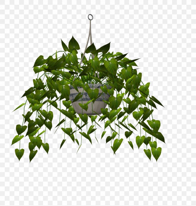 Leaf Tree Herb, PNG, 974x1024px, Leaf, Flowerpot, Grass, Herb, Ivy Download Free