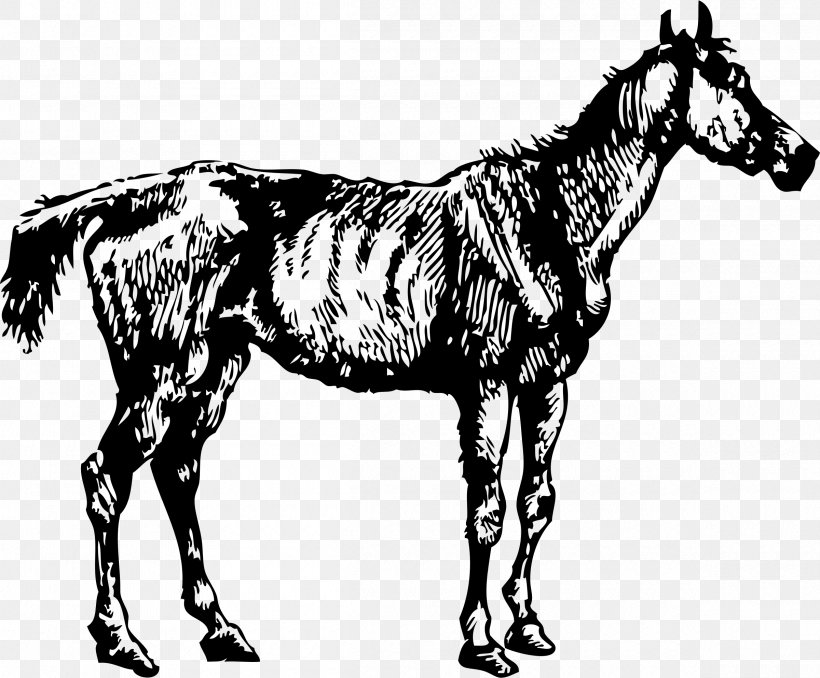 Horse Clip Art, PNG, 2400x1986px, Horse, Black And White, Bridle, Colt, Donkey Download Free