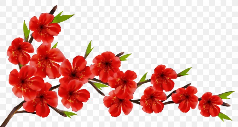 Flower Clip Art Image Branch, PNG, 1200x643px, Flower, Blossom, Branch, Cherry Blossom, Cut Flowers Download Free