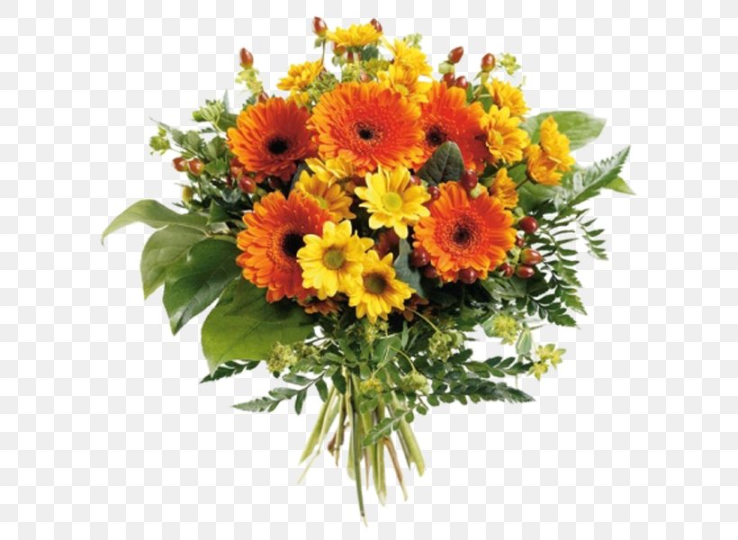 Transvaal Daisy Cut Flowers Flower Bouquet Rose, PNG, 600x600px, Transvaal Daisy, Annual Plant, Chrysanthemum, Chrysanths, Cut Flowers Download Free