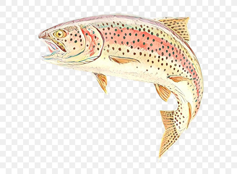 Brown Trout Fish Trout Fish Cutthroat Trout, PNG, 720x600px, Brown Trout, Bonyfish, Coastal Cutthroat Trout, Cutthroat Trout, Fish Download Free
