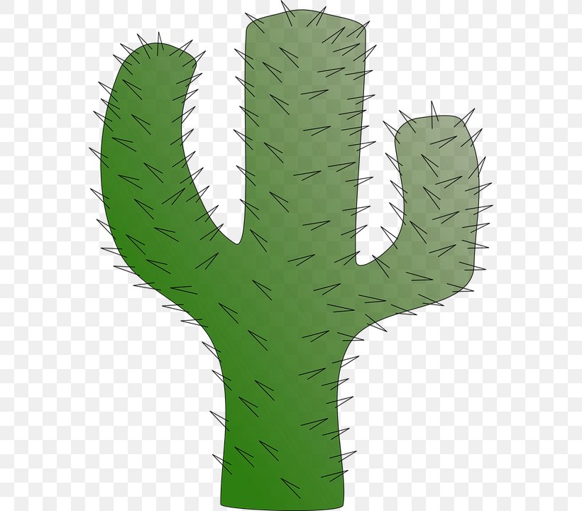 Cactaceae Saguaro Succulent Plant Desert Clip Art, PNG, 570x720px, Cactaceae, Aloe Vera, Botany, Cactus, Cactus Garden Download Free