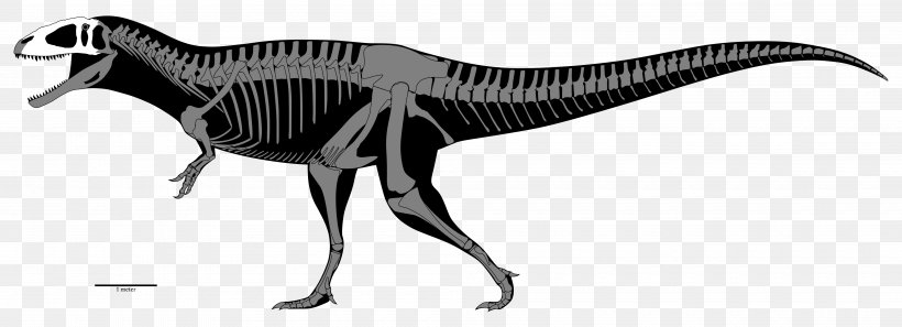 Carcharodontosaurus Tyrannosaurus Allosaurus Acrocanthosaurus Eocarcharia, PNG, 4000x1450px, Carcharodontosaurus, Acrocanthosaurus, Allosaurus, Animal Figure, Artwork Download Free