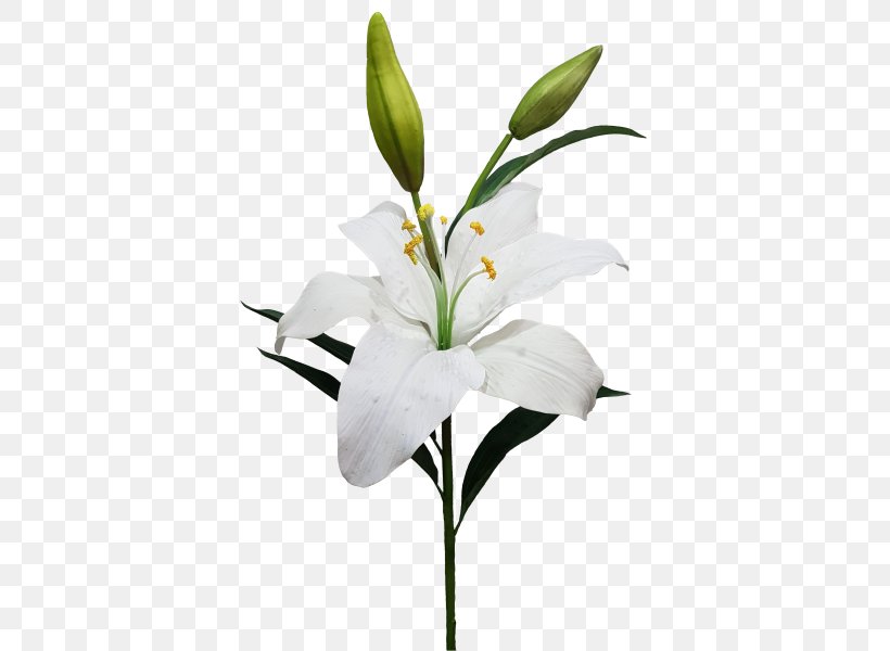 Cut Flowers Artificial Flower Lilium Candidum Garland, PNG, 800x600px, Cut Flowers, Artificial Flower, Branch, Bud, Flora Download Free