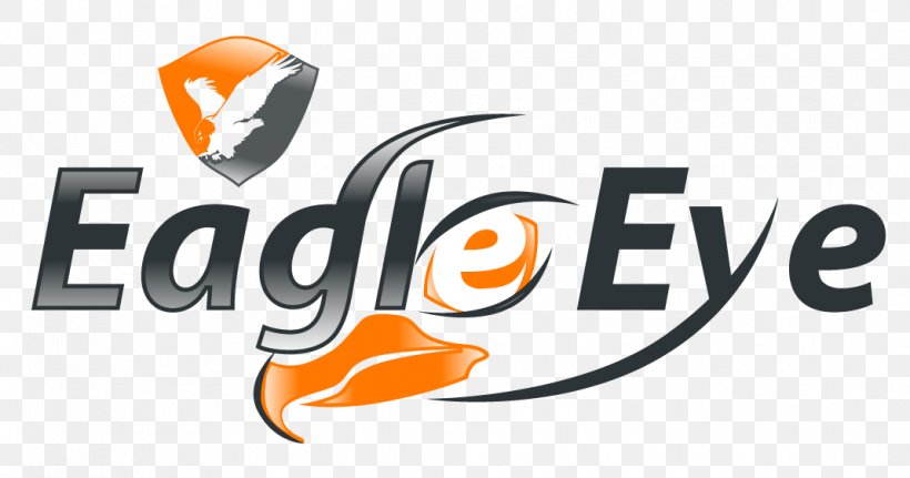 Logo Eye Image Eagle EEDS, LLC, PNG, 1069x563px, Logo, Brand, Eagle, Eagle Eye, Eye Download Free