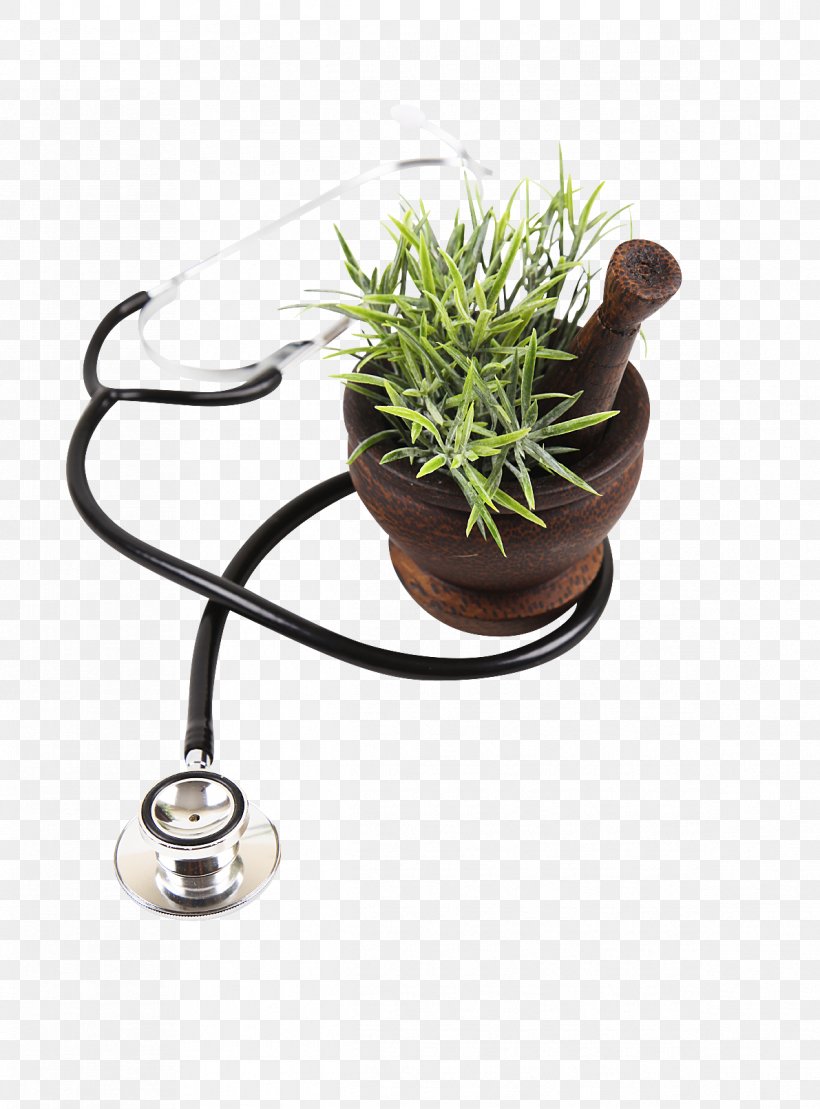 Medicine Naturopathy Alternative Health Services Physician Clinic, PNG, 1191x1612px, Medicine, Alternative Health Services, Ayurveda, Clinic, Flowerpot Download Free