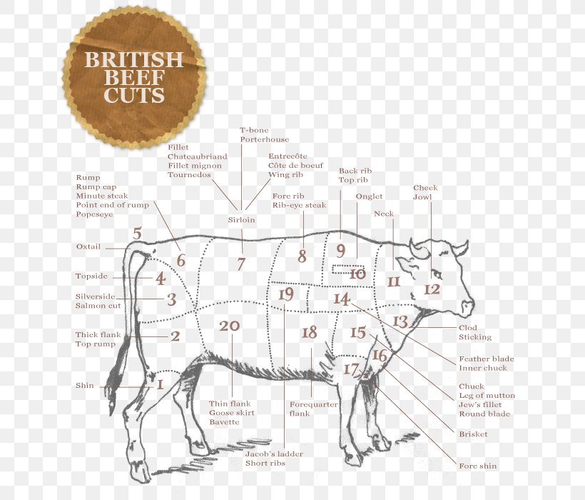 Domestic Pig Cattle Primal Cut Cut Of Beef, PNG, 660x700px, Domestic Pig, Beef, Bovine, Brisket, Butcher Download Free