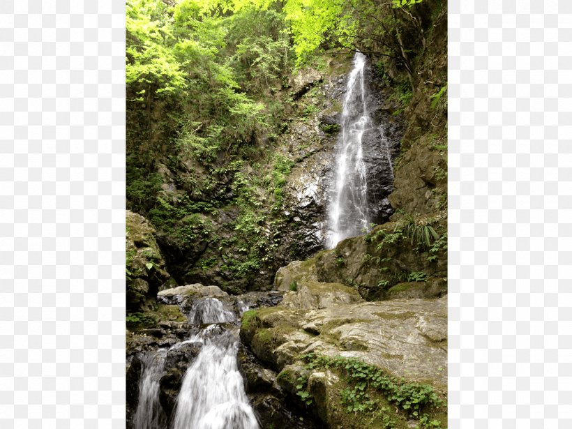 Stream Waterfall Forest Body Of Water Vegetation, PNG, 1200x900px, Stream, Body Of Water, Chute, Forest, Hill Station Download Free