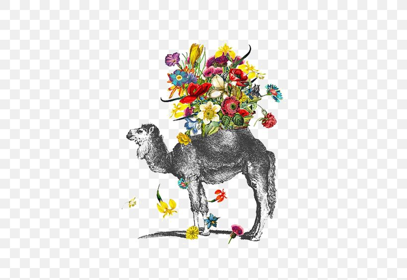 Bactrian Camel Drawing Watercolor Painting, PNG, 564x564px, Camel, Art, Dog Like Mammal, Drawing, Flora Download Free