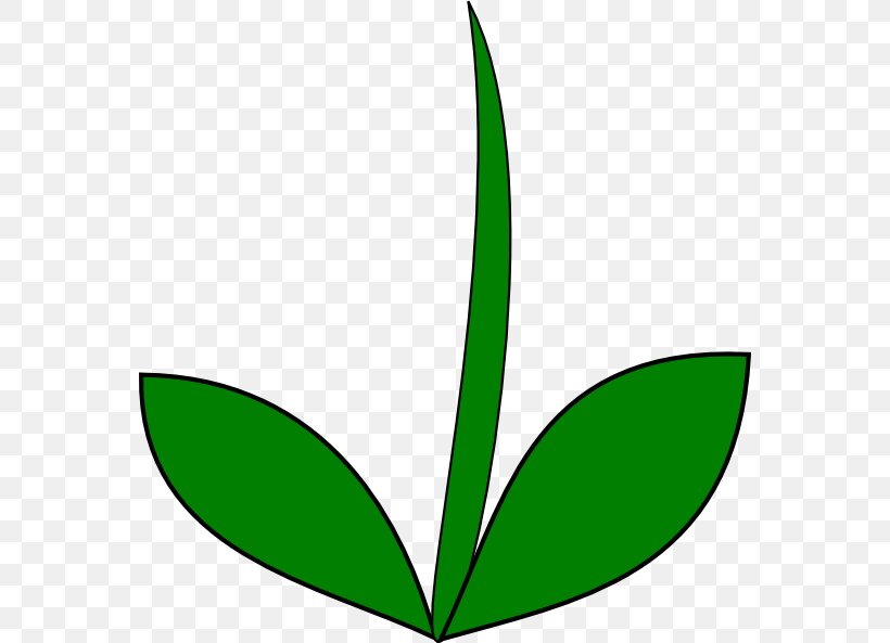 Plant Stem Flower Leaf Clip Art, PNG, 564x593px, Plant Stem, Artwork, Black And White, Blog, Flora Download Free