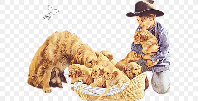 Puppy Golden Retriever English Cocker Spaniel Animal, PNG, 600x421px, Puppy, Animal, Animation, Carnivoran, Dog Download Free