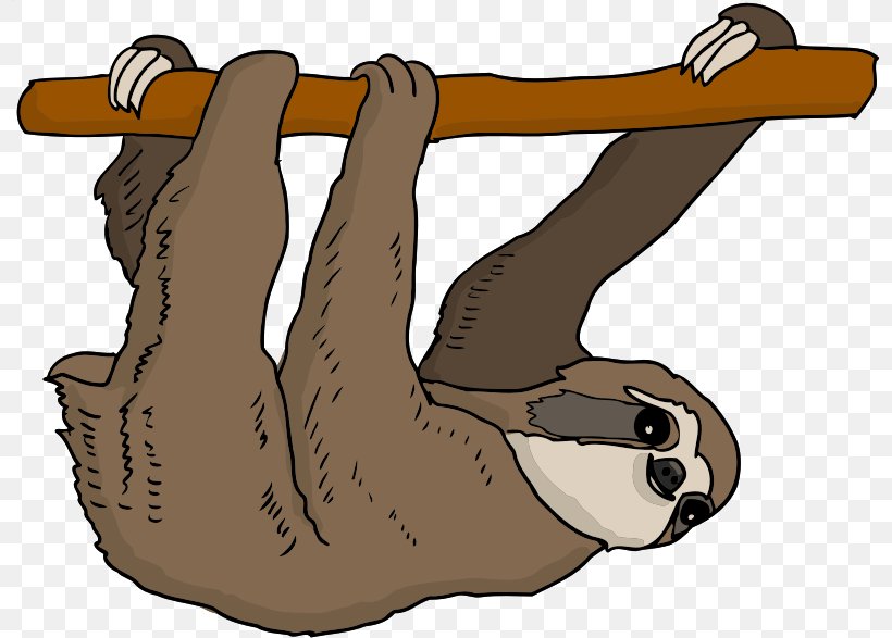 Sloth Mammal Image Clip Art Illustration, PNG, 796x587px, Sloth, Arm, Bear, Carnivoran, Cartoon Download Free