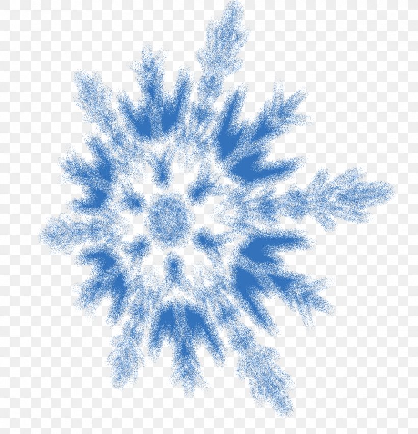 Snowflake YouTube Desktop Wallpaper Winter, PNG, 1144x1188px, Snowflake, Blue, Electric Blue, Gerald Boughton, Organism Download Free