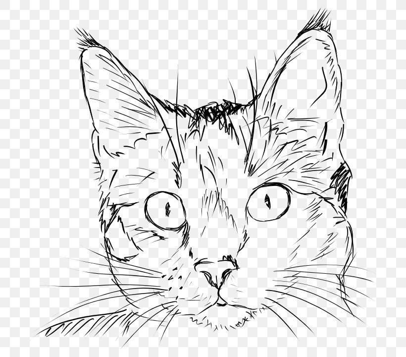 Draw Cats Tiger Drawing Clip Art, PNG, 728x720px, Cat, Artwork, Black And White, Carnivoran, Cat Like Mammal Download Free