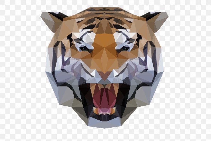 Cat Tiger Felidae Lion Cougar, PNG, 1600x1066px, Cat, Animal, Big Cat, Big Cats, Carnivora Download Free
