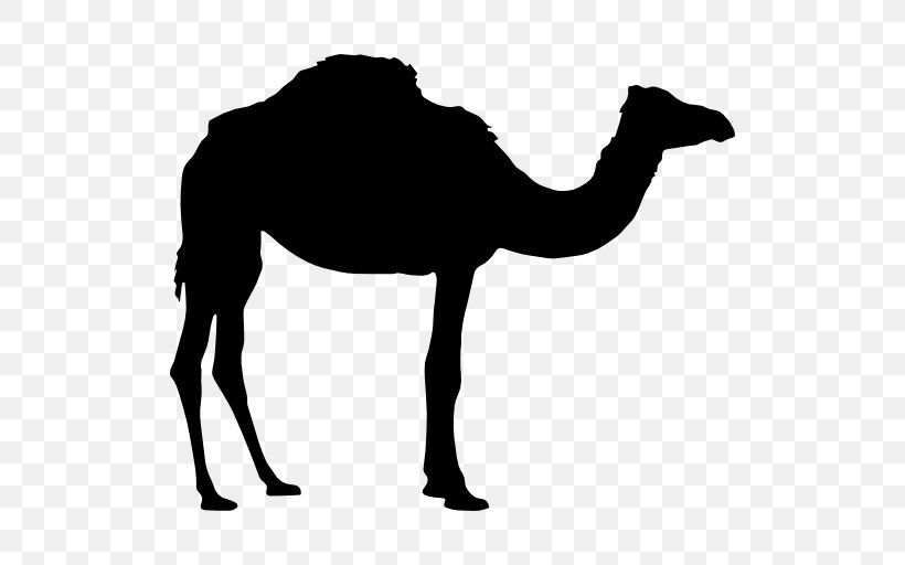 Dromedary Bactrian Camel, PNG, 512x512px, Dromedary, Arabian Camel, Bactrian Camel, Black And White, Camel Download Free