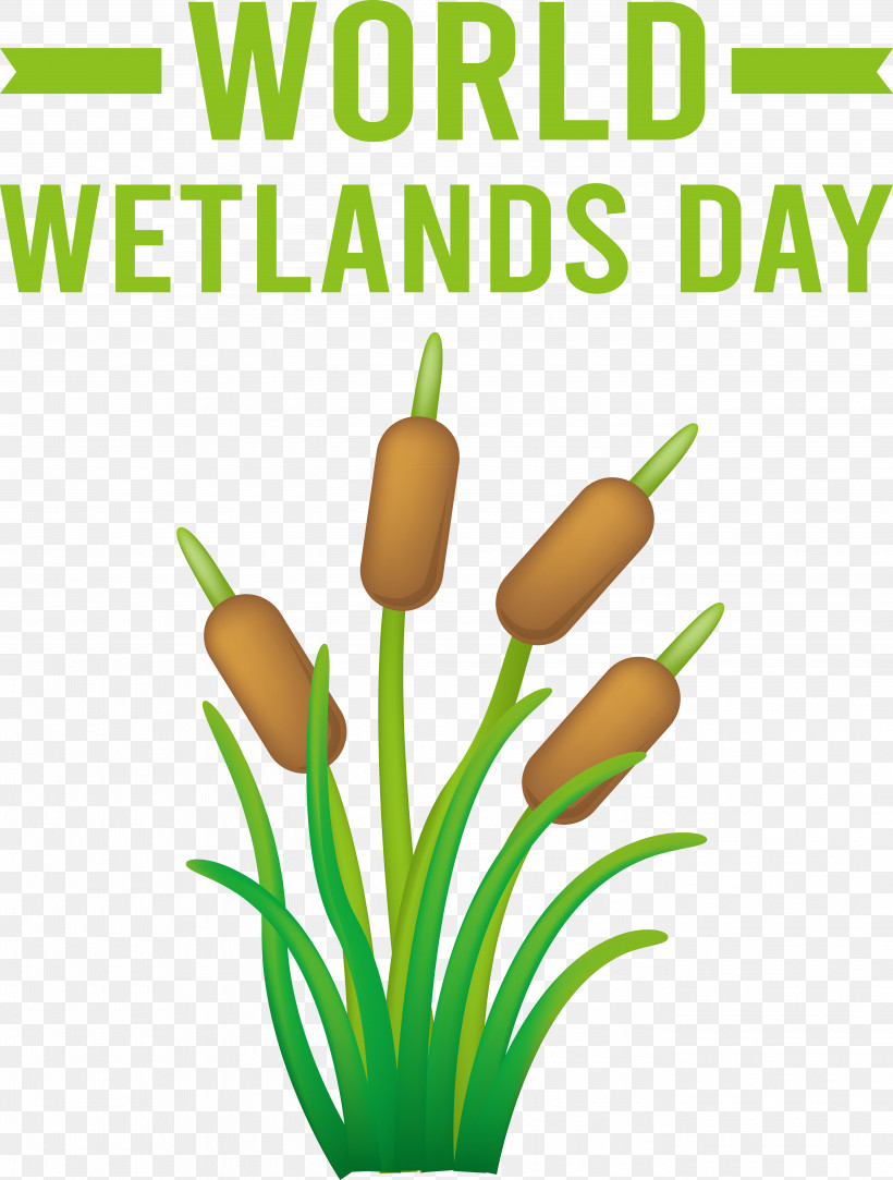 World Wetlands Day, PNG, 5480x7244px, World Wetlands Day Download Free