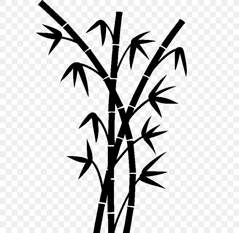 Bambou Drawing Tropical Woody Bamboos Plant Stem, PNG, 800x800px, Bambou, Art, Black And White, Branch, Drawing Download Free