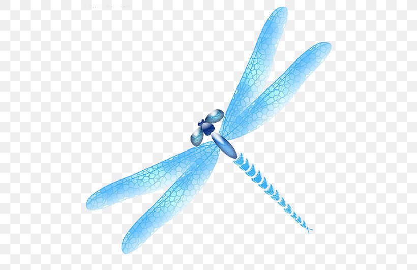 Dragonfly Blue Icon, PNG, 500x531px, Dragonfly, Aqua, Blue, Color, Insect Wing Download Free