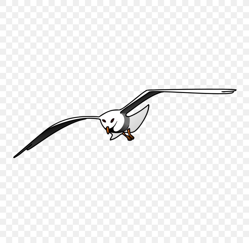 Gulls European Herring Gull Bird Clip Art, PNG, 800x800px, Gulls, Art, Beak, Bird, Bird Of Prey Download Free