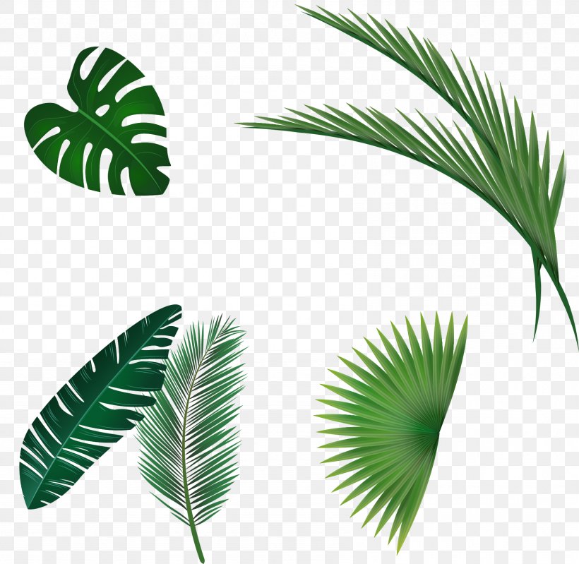 Leaf Watercolor Painting, PNG, 1691x1648px, Leaf, Arecaceae, Arecales, Artworks, Grass Download Free