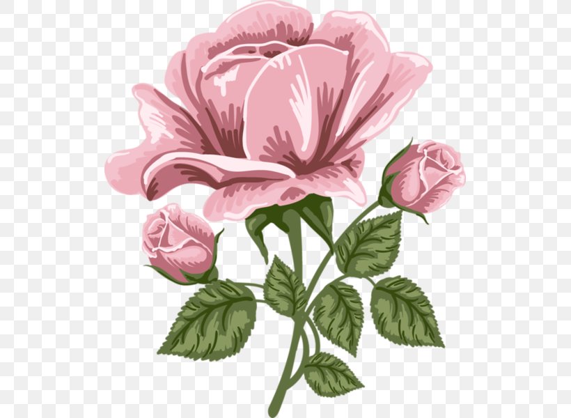 Rose Art Painting Clip Art, PNG, 519x600px, Rose, Annual Plant, Art, Black Rose, Cut Flowers Download Free