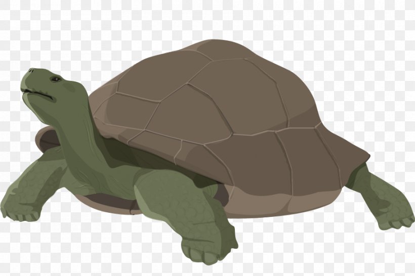 Tortoise Animal, PNG, 910x607px, Tortoise, Animal, Animal Figure, Fauna, Reptile Download Free