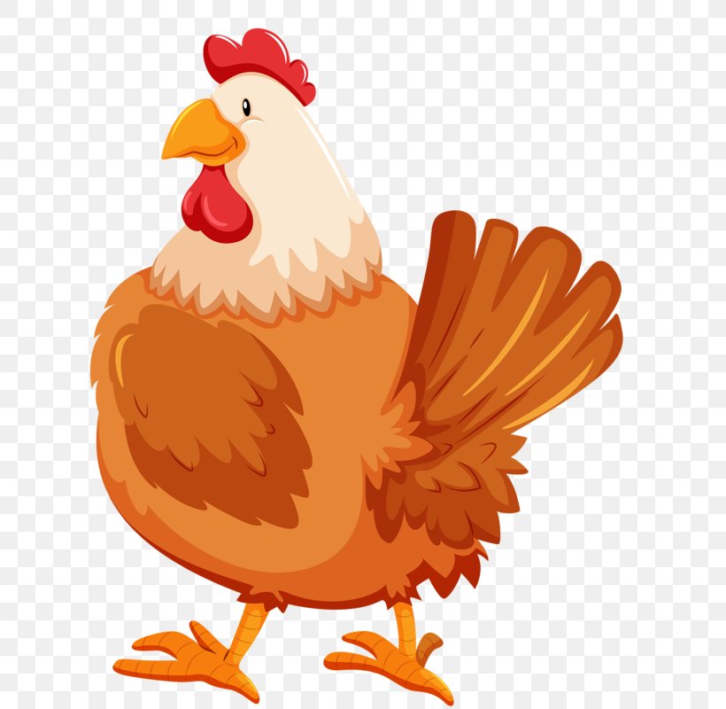 Chicken, PNG, 628x800px, Chicken, Animation, Beak, Bird, Cartoon Download Free