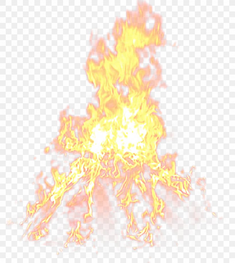 Flame Download Icon, PNG, 3115x3485px, Light, Combustion, Conflagration, Fire, Flame Download Free