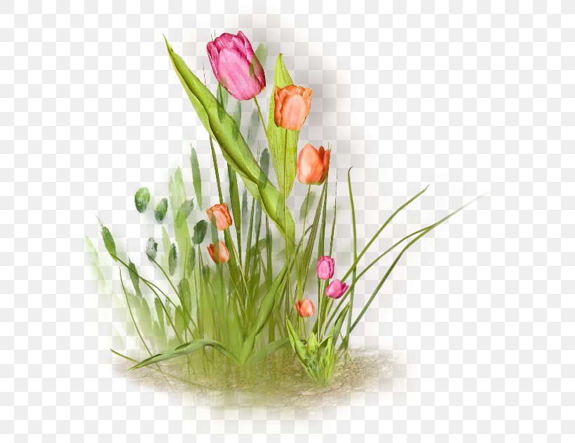 Floral Design Tulip Flower Painting Clip Art, PNG, 600x633px, Floral Design, Artificial Flower, Cartoon, Cut Flowers, Drawing Download Free