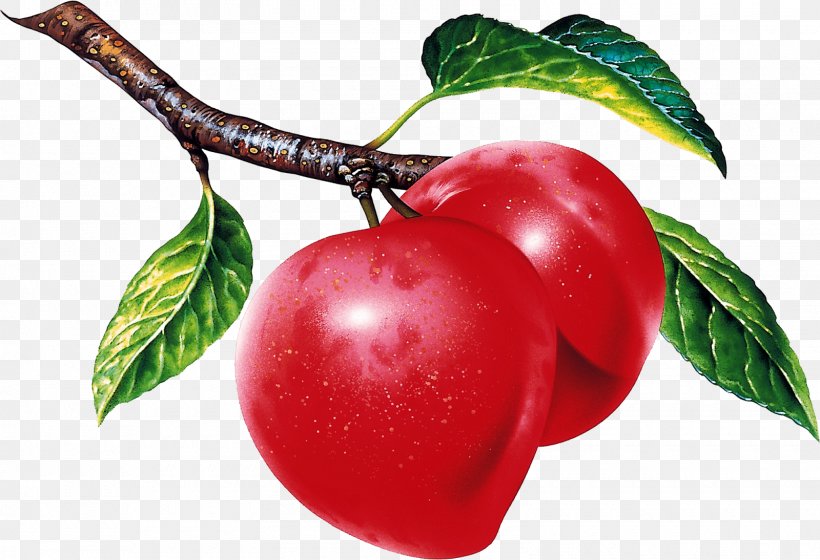 Fruit Desktop Wallpaper Plum Food Apple, PNG, 1600x1094px, Fruit, Acerola, Acerola Family, Apple, Berry Download Free