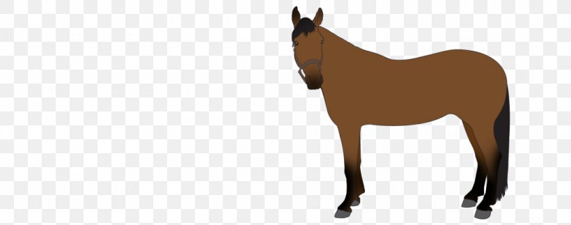 Mule Foal Stallion Colt Mare, PNG, 1089x430px, Mule, Bridle, Colt, Foal, Halter Download Free